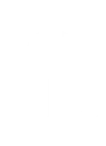 Dr. Stefano Luongo